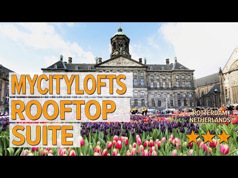 mycitylofts rooftop suite hotel review hotels in rotterdam netherlands hotels