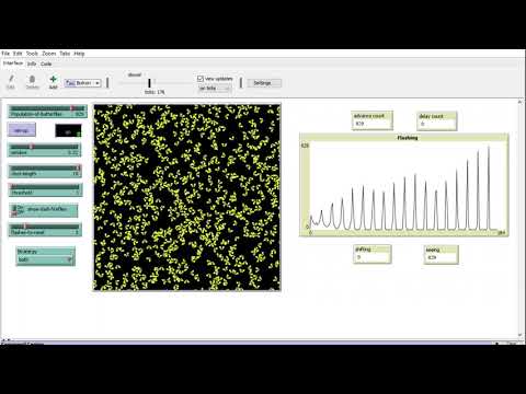 Firefly synchronization strategy - Both