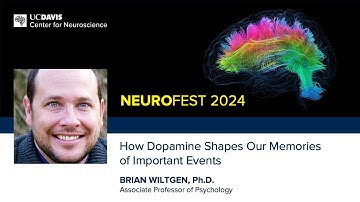 Brian Wiltgen, Ph.D. — How Dopamine ShapesOur Memories of Important Events