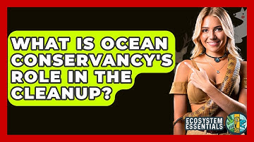 What Is Ocean Conservancy