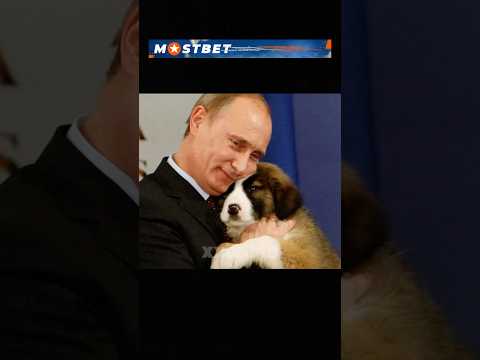 Путин и животные #путин #россия #баффи #кыргызстан #снг #узбекистан #путинлучший