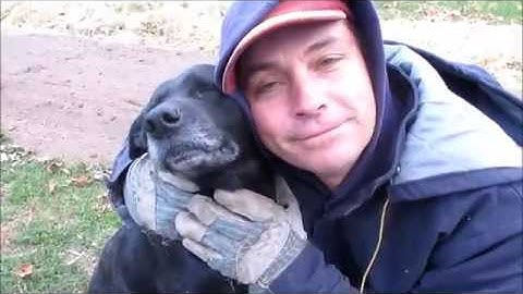 Trying To Find A Needle In A Haystack!