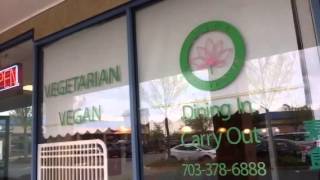 Having Lunch at Lotus Vegetarian Lotus Vegetarian Restaurant Photos