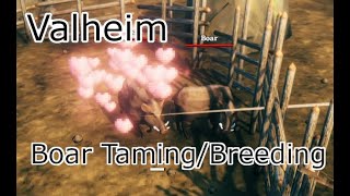Valheim quick boar taming and breeding guide