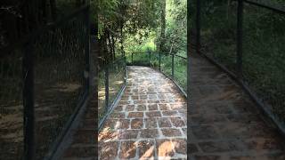 Peaking Jungle by Forestree Holidays Wayanad - Oversee the Jungle