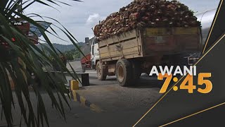 OP Saji | 63 syarikat seleweng subsidi minyak masak