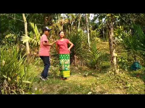 nang pan chawari nang pan chawari