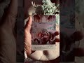 New Moon | ORACLE card | Message | Spirit Guides | Rose Goddess Heal with me | Sound healing | Tarot