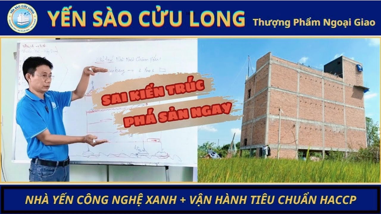 4 Sai Lầm Xây Dựng Dẫn Đến Nhà Yến Phá Sản