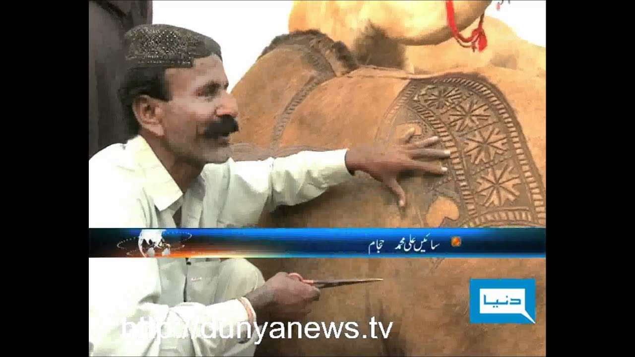 Dunya TV-01-11-2011-Camel Hair Dresser