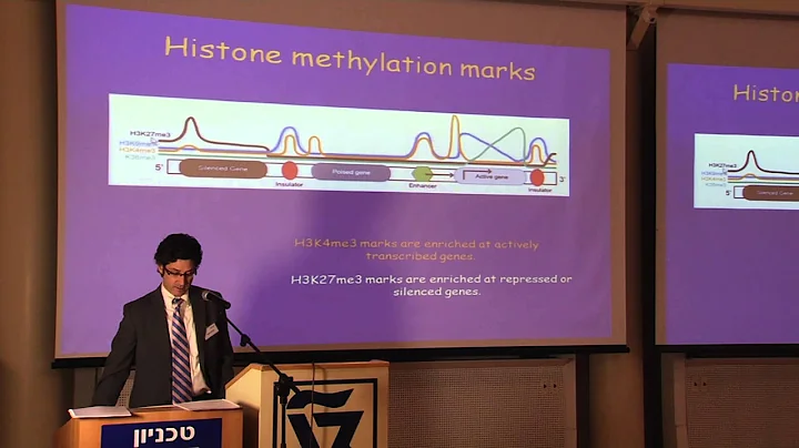 Adam Stein - University of Michigan - Technion Lec...