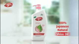 Download lagu Wash away the heat of the day