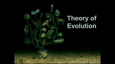 Fossils and Evolution - What is the Biblical View?