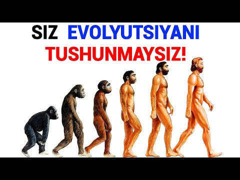Video: Darvinning evolyutsiyaning 5 nuqtasi nima?