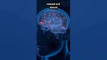 The sleeping brain what happens when you dream