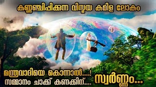 കൊടൂരമായ ചുഴലിക്കാറ്റിനുള്ളിലെ അത്ഭുത ലോകം കണ്ണഞ്ചിപ്പിക്കുന്ന കാഴ്ചകളും #malluexplainermalayalam