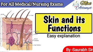 Skin in Hindi|| Function of skin || Sensory organs || For BAMS, GNM ,BSc Nursing students