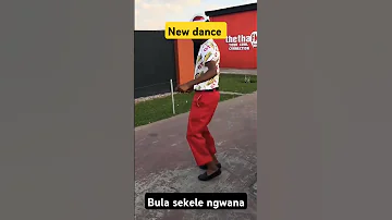 Vula Sekele Amapiano Harrycane Dance Reels Funny 