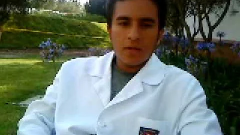 My biography Leonardo Sanabria