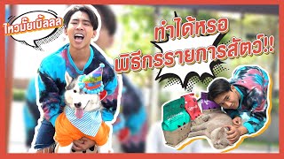 น่ารักสัตว์สัตว์ Ep.0 [เบิ้ล จะเป็นพิธีกรได้ไหม]