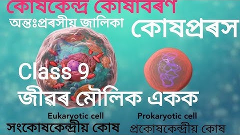 Class 9 Science ॥জীৱৰ মৌলিক একক॥ খণ্ড 2॥Fundamental unit of life ॥ #SEBA