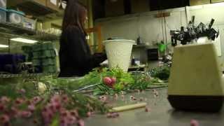 Ashland Addison Florist
