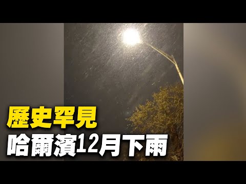历史罕见，黑龙江哈尔滨12月竟然下雨。12月9日晚上开始，哈尔滨出现降雨天气。12月黑龙江省出现降雨天气历史上很少，市民：该降雪它降雨了