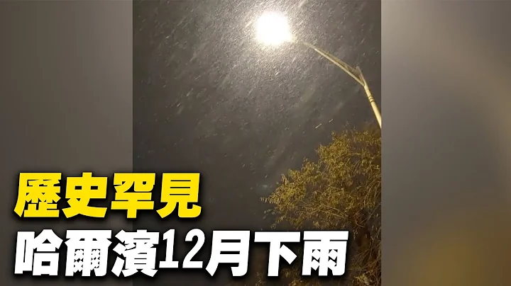 歷史罕見，黑龍江哈爾濱12月竟然下雨。12月9日晚上開始，哈爾濱出現降雨天氣。12月黑龍江省出現降雨天氣歷史上很少，市民：該降雪它降雨了| #大紀元新聞網 - 天天要聞