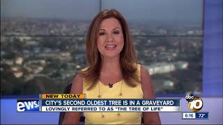 NorthStar Memorial Group - 2018 Media Coverage Highlights Reel