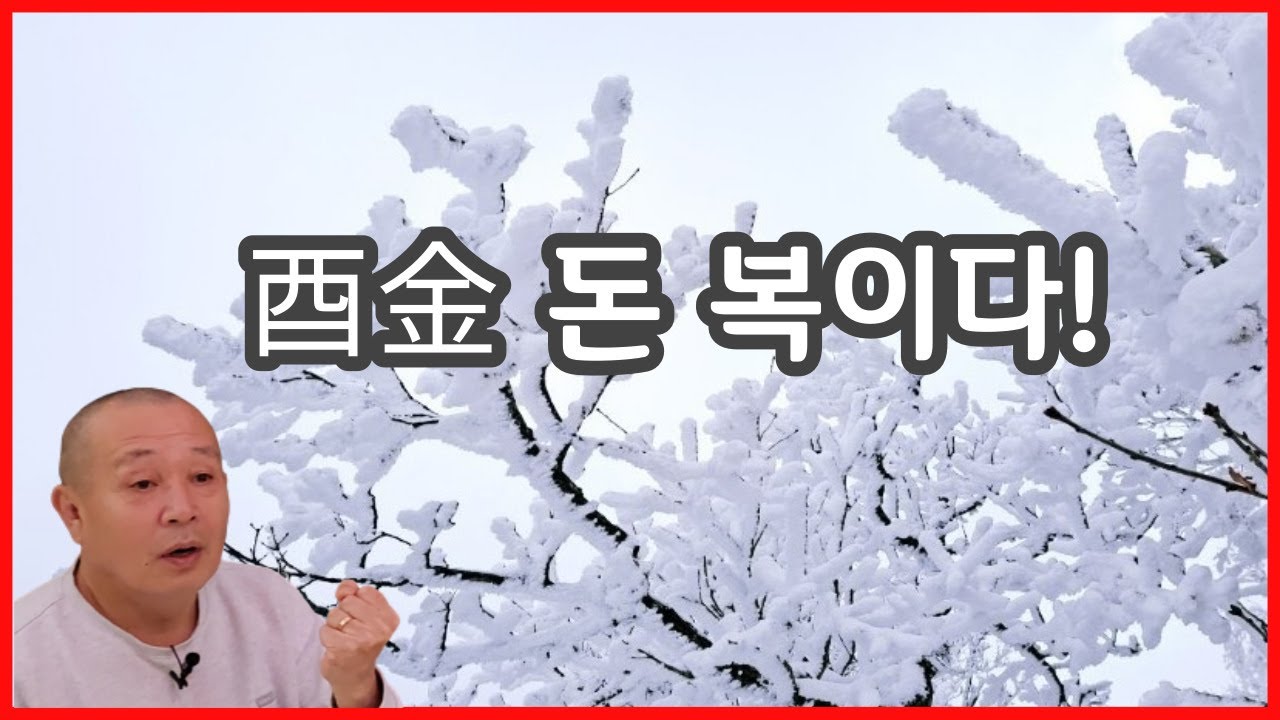 酉金은 돈 복이다!