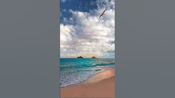 روائع التلاوة(ما تعبدون من دونه الا اسماء سميتموها انتم واباؤكم ما انزل الله بها من سلطان)#قرآن_كريم