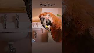 The Woman Eats A Parrot, She Becomes The Death God. Resimi