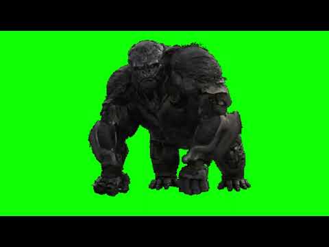 Transformers: Optimus Primla in a Green Screen