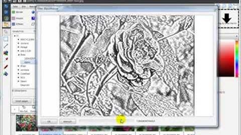 FMX-Form aus FMX-DLL für VCL auch in FMX-Anwendung nutzen