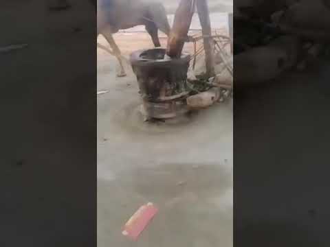 زيت سمسم بلدي بالطريقة التقليدية وهو صحي للأكل وللشعر الرياض حي ظهرة نمار 0538990004 واتساب