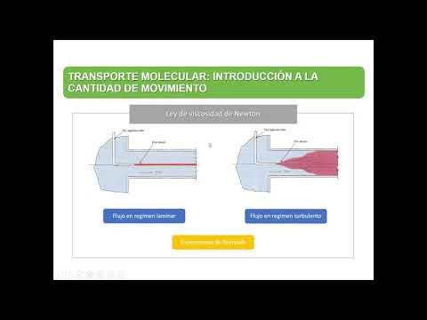 Transporte Molecular: Ley