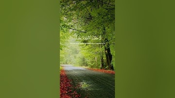 قرآن كريم #اكسبلور #راحة_نفسية #شاشه_سوداء