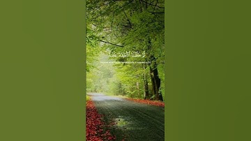 قرآن كريم #اكسبلور #راحة_نفسية #شاشه_سوداء