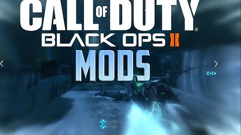 Mod menu bo2 modding and trolling around having fun‼️