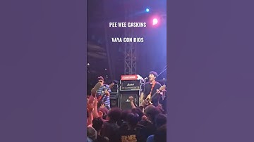 Pee Wee Gaskins - Vaya Con Dios ( live StarCross 2022 )