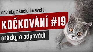 KOČKOVÁNÍ #19 - Stream: otázky a odpovědi by Kočkování 59 views 5 months ago 2 hours, 3 minutes