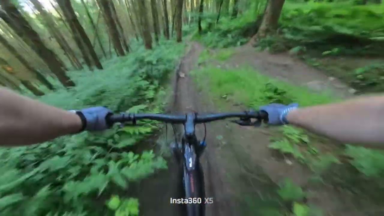 Wyllie Bike Park (Full Run Linking Trails)