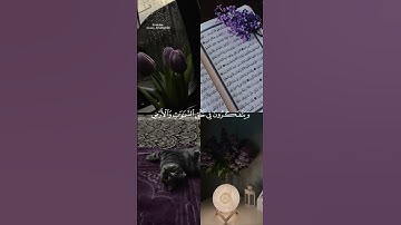 {الذين يذكرون الله قياماً وقعوداً وعلى جنوبهم} القارئ سعد الغامدي 💜🌿 #quran #قرآن