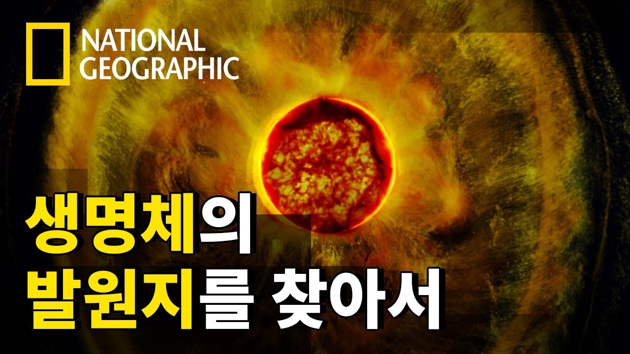 ⁣많은 과학자들이 주장하는 생명체의 발원지는 어디일까?