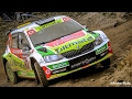 Rali Serras de Fafe 2017 | Miguel Barbosa | Skoda Fabia R5 | Full HD