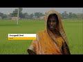 Transformative Flood Management Through the Kosi Basin Development Project: Bihar's Resilience