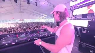Edm Crowd
