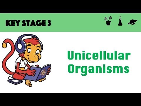Unicellular Organisms