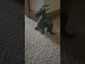 Always Draggin Behind Me