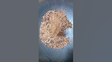 Thumbnail of bumbu kari